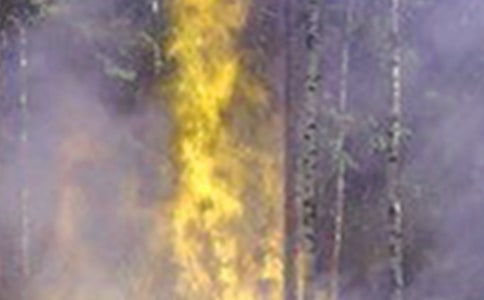 珍爱生命,远离火灾作文