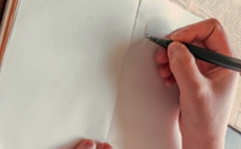 小白兔过河二年级作文范文