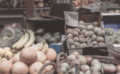 花鸟市场里的鸟状物作文