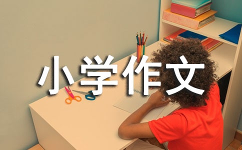温暖的伞小学作文