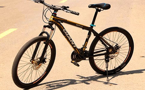 小学叙事作文：学骑自行车