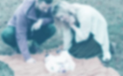 爸爸妈妈我想对你说作文集锦15篇