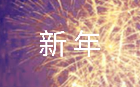新年小学作文800字