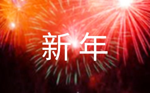 疯狂的`新年优秀作文