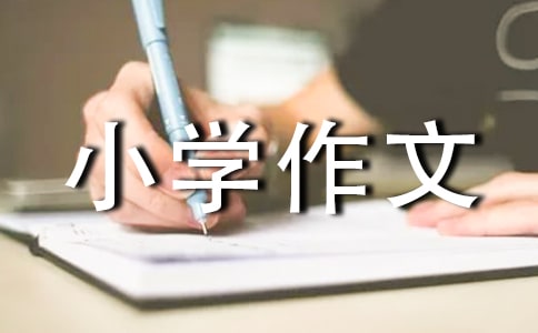 小白兔的尾巴小学作文400字