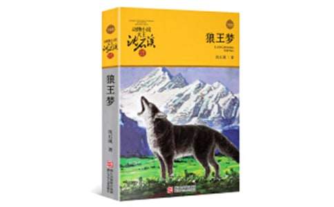 六年级学生《狼王梦》读后感作文