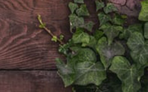 有关和谐作文300字汇总8篇