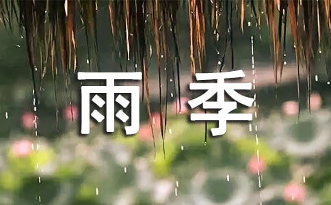 16岁青春的雨季作文