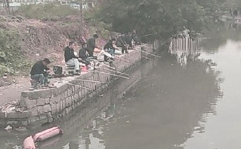 布条钓鱼四年级作文