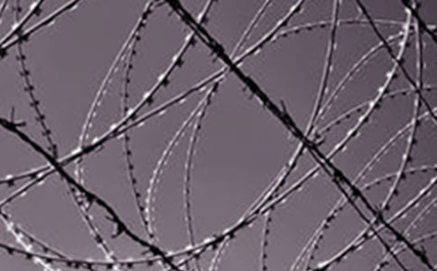 钢铁般的生命作文1850字