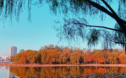 秋日的温暖初三作文950字