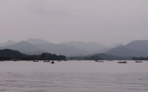 西湖写景的作文(精选85篇)