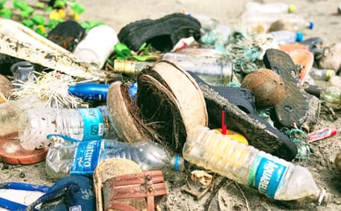 会吃垃圾的'机器鱼四年级作文