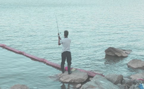 小猫钓鱼作文550字