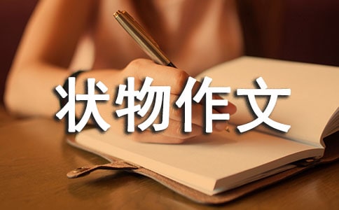 小瓷猫状物作文