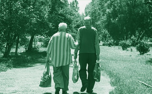 记忆中的奶奶初中作文