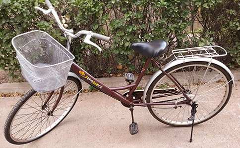 第一次学自行车叙事作文(精选10篇)