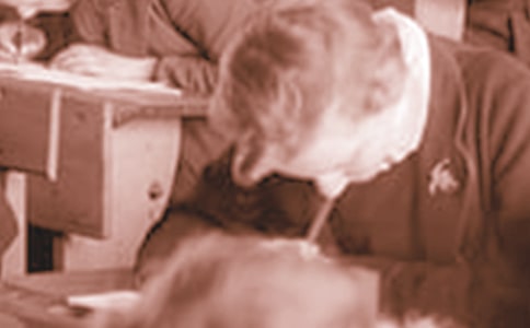 我最敬佩的一个人中学生作文