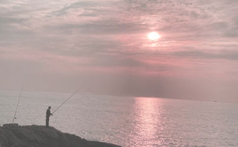 钓鱼写事作文五篇