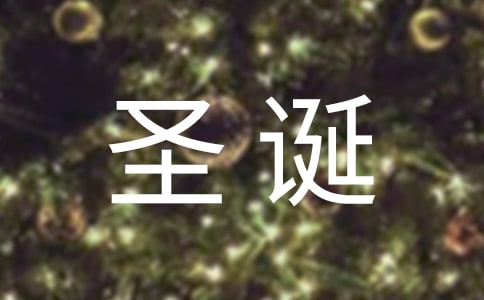 圣诞节来了的作文600字