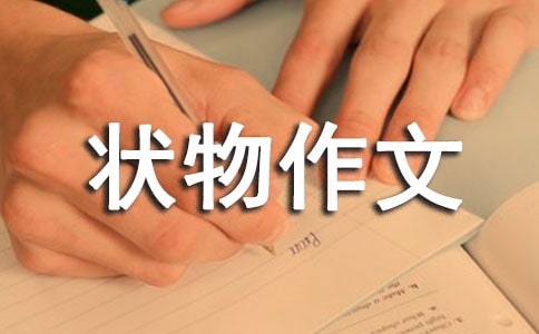 我家的小白兔状物作文450字