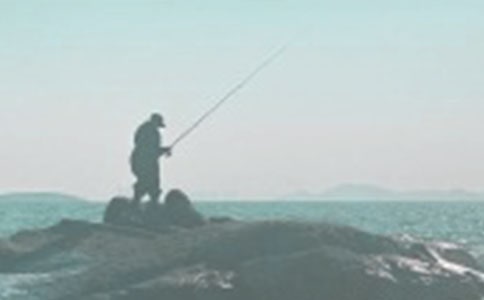 钓鱼者作文500字