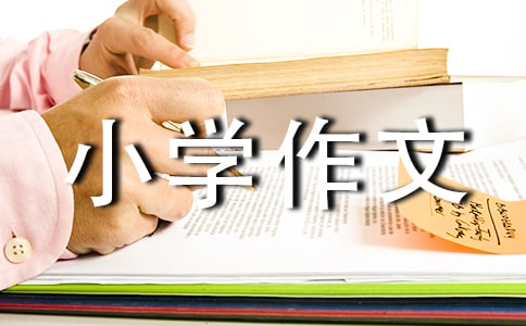 温暖的小学作文550字