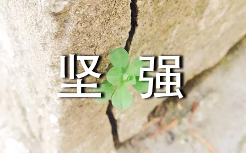 是坚强选择了我初三作文