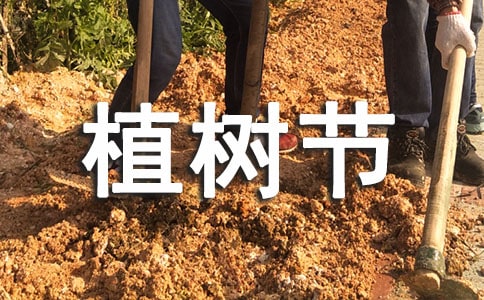 植树节感想作文300字(通用53篇)