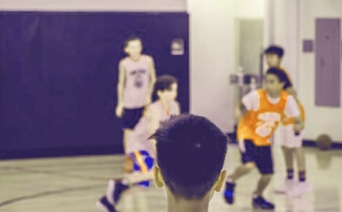 一只流浪狗小学生作文