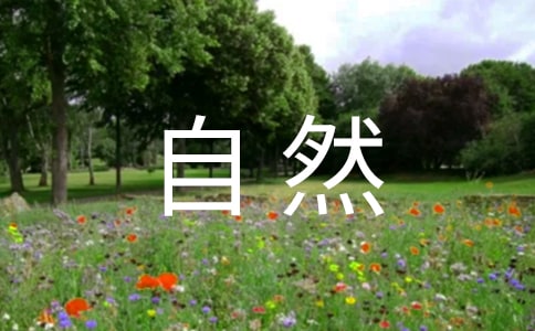 人与自然的优秀叙事文