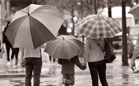 我爱我的爸爸妈妈作文400字