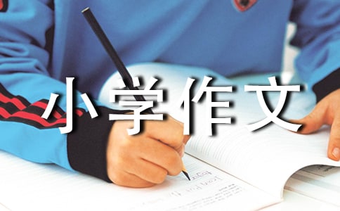 激动人心的七十二行小学作文