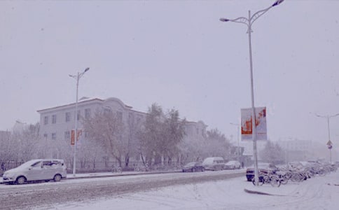 冬日里的一抹微笑作文