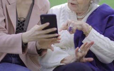 婆婆家的猫五年级作文