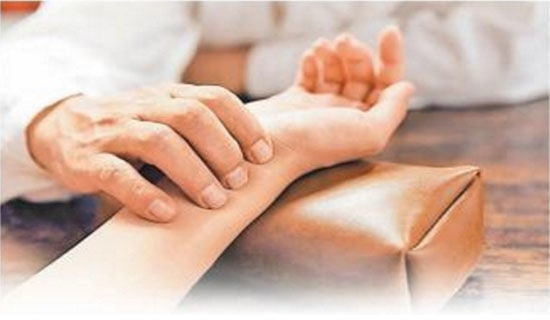 猫医生过河小学作文