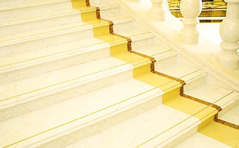 楼梯间的猫优秀作文