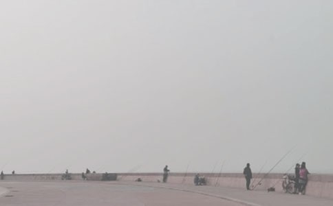 钓鱼三年级优秀作文