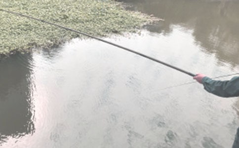 小猫钓鱼写事作文300字