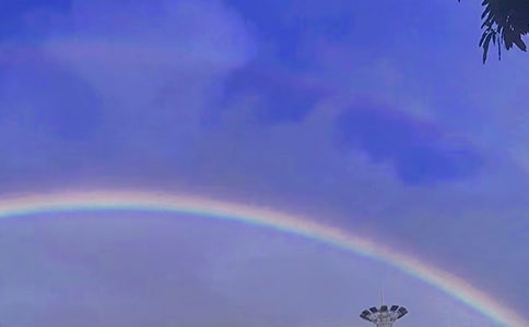 叙事作文:彩虹在风中飘