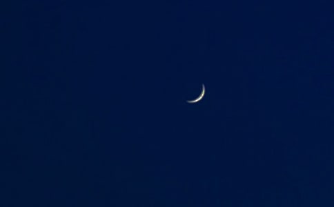 月亮的小学叙事作文(精选55篇)