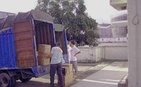 蚂蚁搬家命运的三年级作文