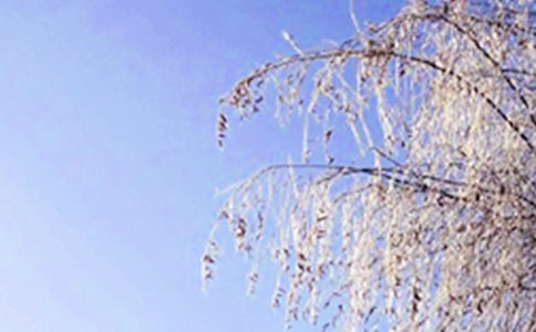 冬天里的微笑的初中作文