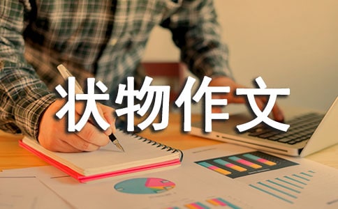 狗小灰状物作文