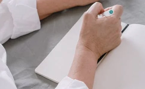 优雅的波斯猫五年级作文400字