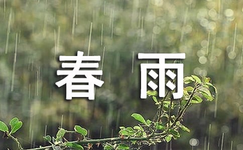 描写春雨的优美段落(精选80句)