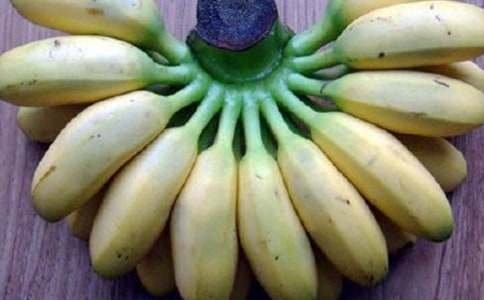 吃香蕉的.老鼠睡前故事