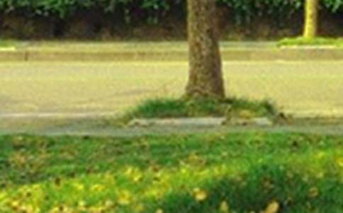 关于个性早安签名汇总(精选115句)