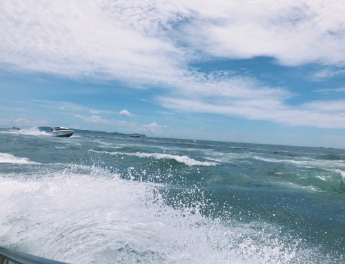 迎接十二月暖心文案90句