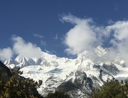 幼儿园2022感恩节主题教育教案